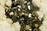 Scalenohedral Calcite Crystals on Pyrite and Sphalerite - Peru #329330-1